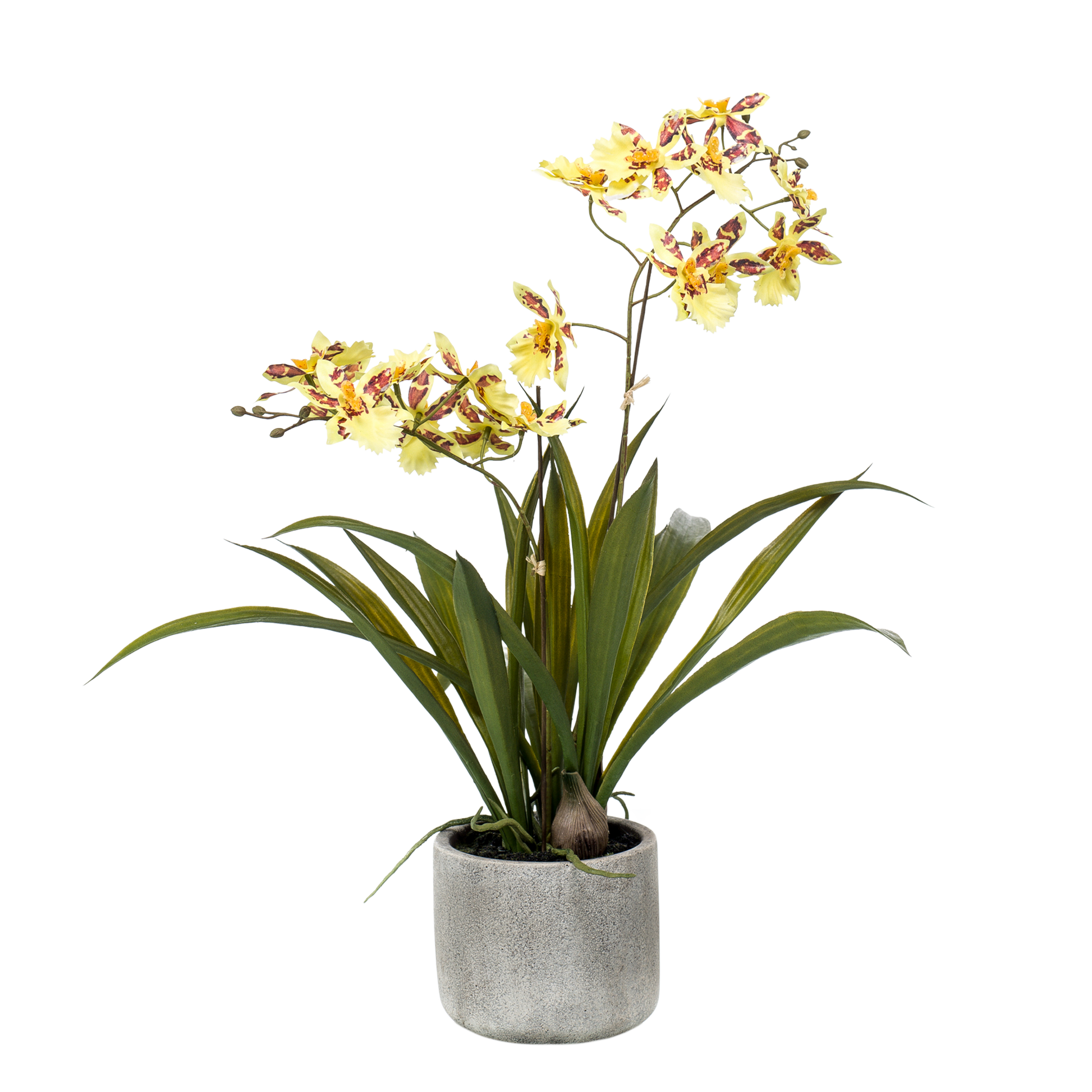 Kunstpflanze Orchidee Gelb-Braun 45 cm | Pflanzfix24.de - Pflanzfix24.de