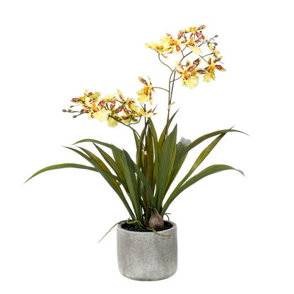 Kunstpflanze Orchidee Gelb-Braun 45 cm | Pflanzfix24.de - Pflanzfix24.de